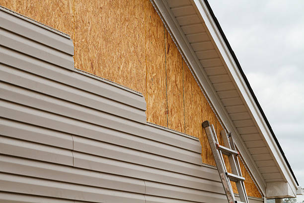 Professional Siding Inspection technician working in Benwood, WV